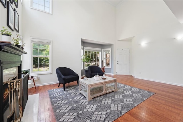 350 Eagle Tiff Dr, Sugar Hill, GA 30518 - living area featuring a high ceiling, wood finished floors, and a fireplace