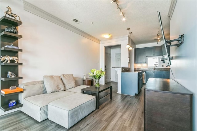 living room with track lighting, a textured ceiling, hardwood / wood-style flooring, crown molding, and sink