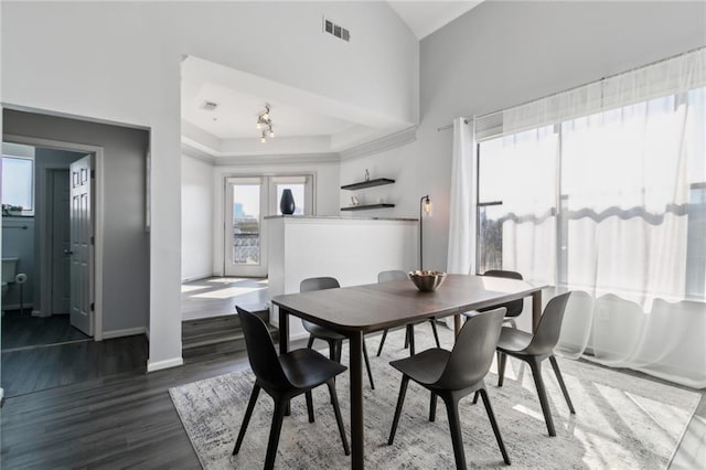 dining room with high vaulted ceiling, a tray ceiling, and dark hardwood / wood-style floors