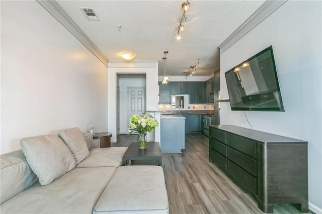 living room with ornamental molding, light hardwood / wood-style flooring, a textured ceiling, and sink