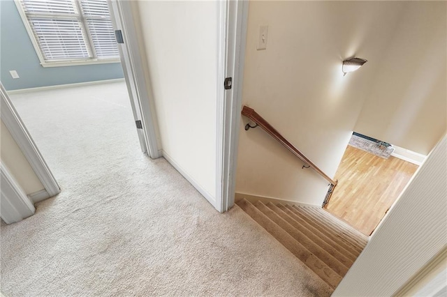 stairs with carpet floors