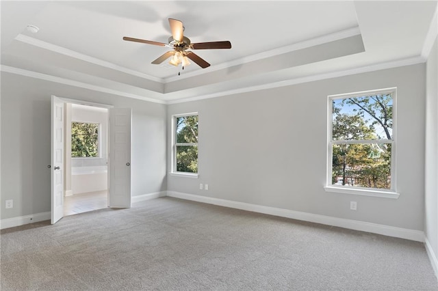 carpeted empty room featuring crown molding, a raised ceiling, and ceiling fan