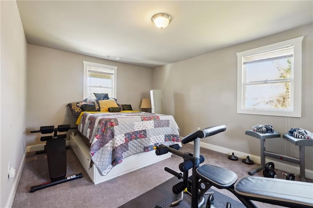 bedroom with carpet floors and multiple windows