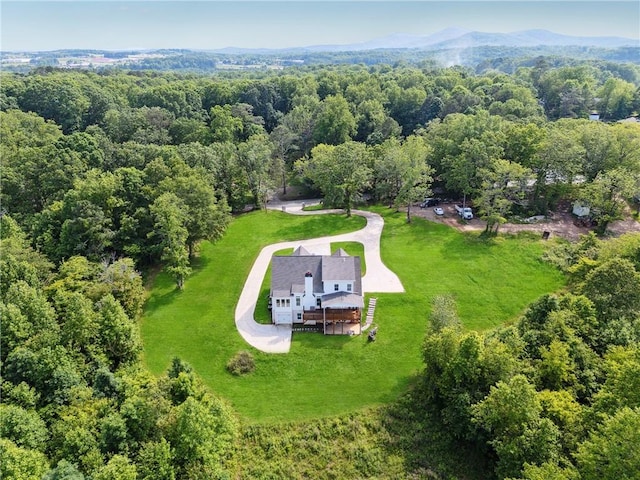 1656 Talking Rock Rd, Jasper, GA 30143 - view of subject property with a forest and a mountainous background