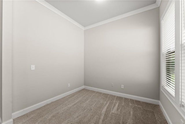 427 Dawson Pointe Pkwy, Dawsonville, GA 30534 - spare room with ornamental molding, carpet floors, and baseboards