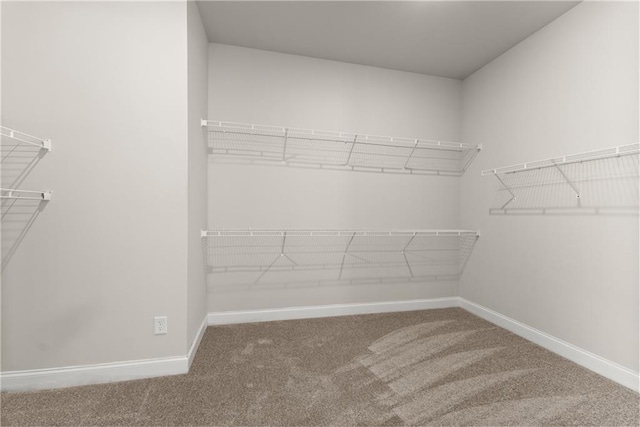 427 Dawson Pointe Pkwy, Dawsonville, GA 30534 - walk in closet with carpet