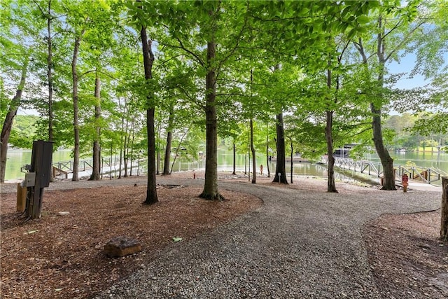427 Dawson Pointe Pkwy, Dawsonville, GA 30534 - surrounding community with a water view