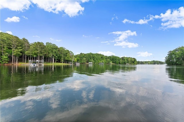 427 Dawson Pointe Pkwy, Dawsonville, GA 30534 - water view featuring a heavily wooded area