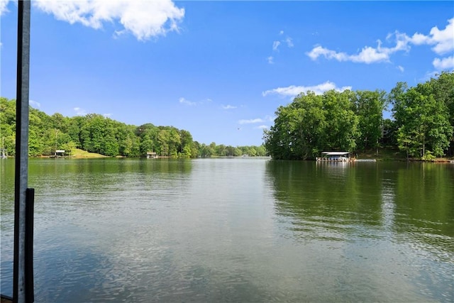 427 Dawson Pointe Pkwy, Dawsonville, GA 30534 - water view featuring a forest