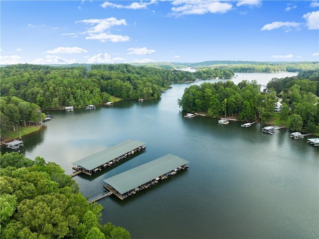 427 Dawson Pointe Pkwy, Dawsonville, GA 30534 - drone / aerial view of a nearby body of water and a heavily wooded area