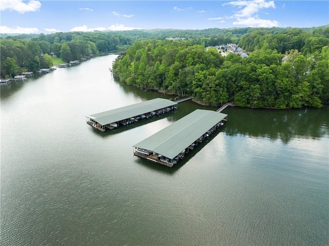 427 Dawson Pointe Pkwy, Dawsonville, GA 30534 - drone / aerial view of a nearby body of water