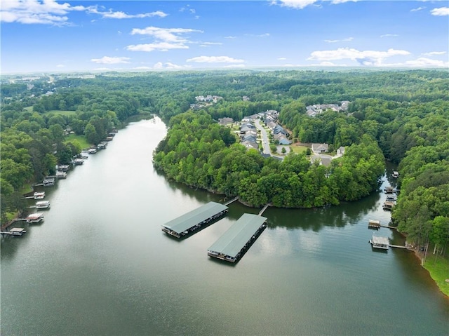 427 Dawson Pointe Pkwy, Dawsonville, GA 30534 - drone / aerial view of a nearby body of water and a heavily wooded area