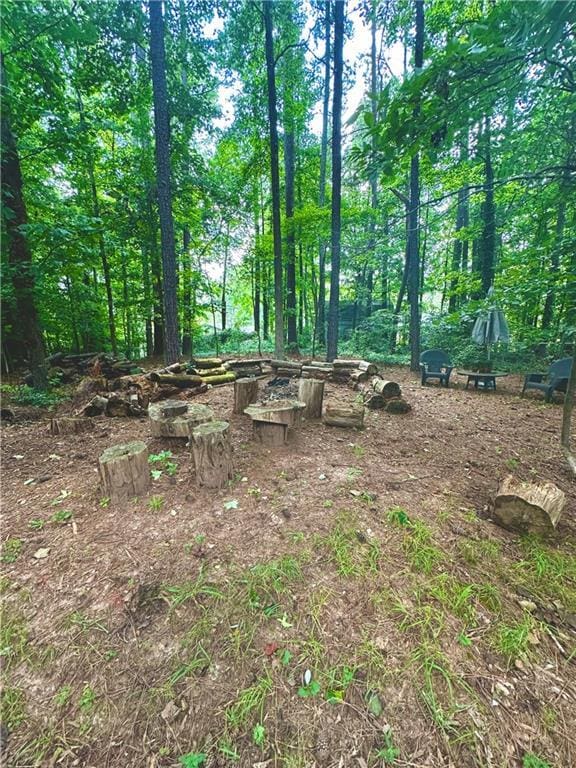227 Bennett Farms Trl, Acworth, GA 30102 - view of undeveloped land