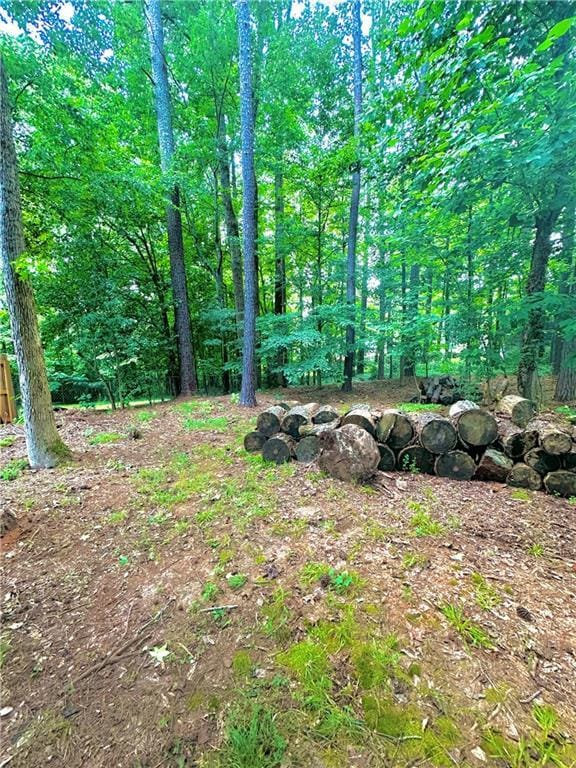 227 Bennett Farms Trl, Acworth, GA 30102 - view of local wilderness