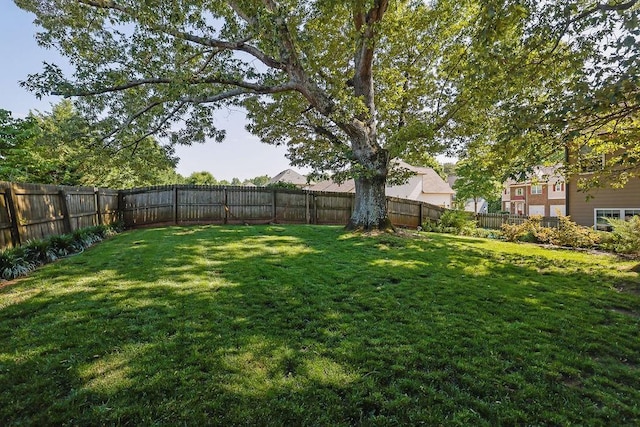2295 Hemrick Rd, Cumming, GA 30041 - view of yard