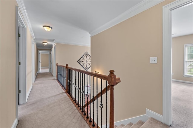 871 Windsor Creek Dr, Grayson, GA 30017 - hall with carpet, ornamental molding, and an upstairs landing