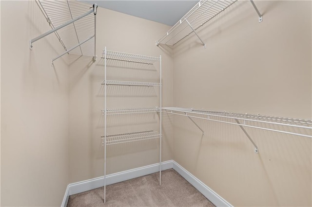 871 Windsor Creek Dr, Grayson, GA 30017 - spacious closet with carpet flooring
