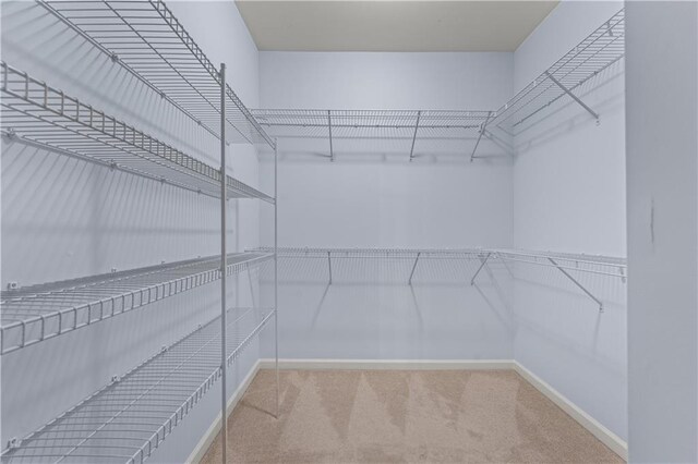 871 Windsor Creek Dr, Grayson, GA 30017 - walk in closet with carpet floors