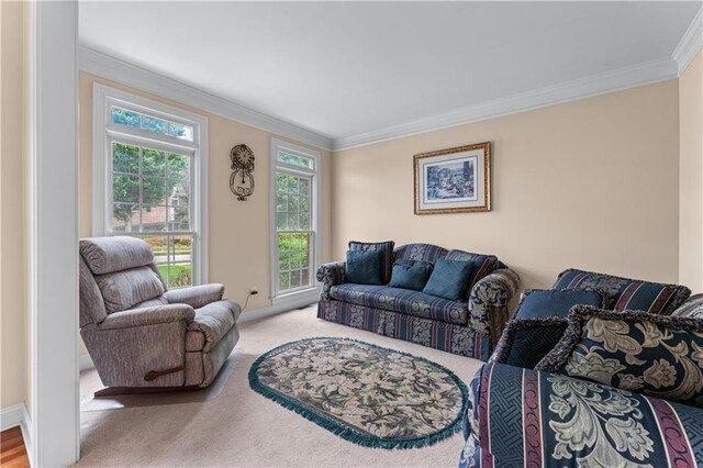 871 Windsor Creek Dr, Grayson, GA 30017 - carpeted living area featuring ornamental molding and baseboards