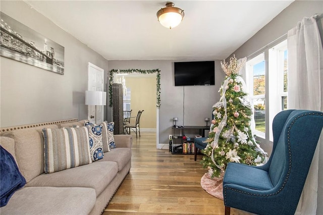 living room with wood-type flooring