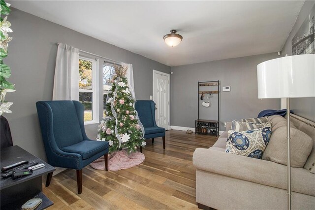 living room with hardwood / wood-style floors