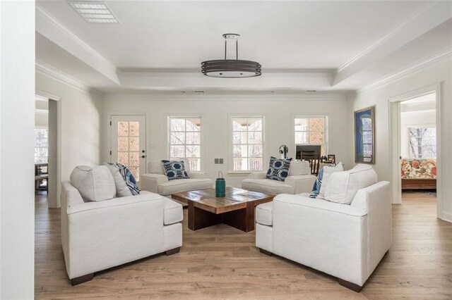 living area featuring crown molding, plenty of natural light, and a raised ceiling