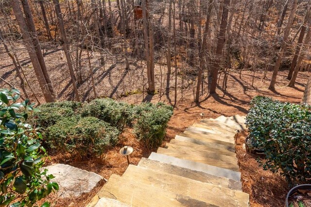 view of yard with stairs