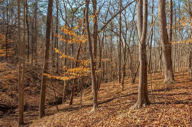 view of local wilderness