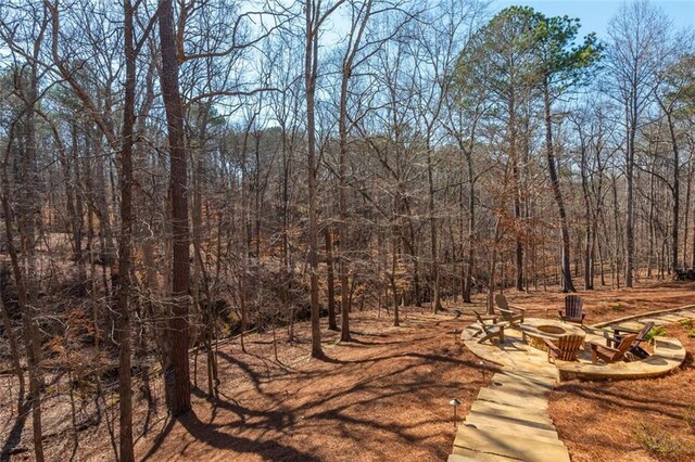 view of local wilderness