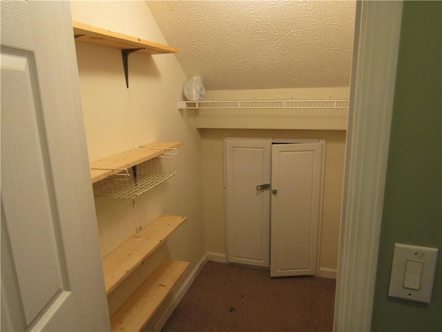 5820 Elm Tree Dr, Buford, GA 30518 - walk in closet with dark carpet