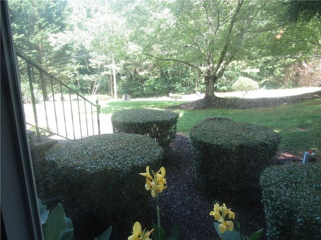 5820 Elm Tree Dr, Buford, GA 30518 - view of yard