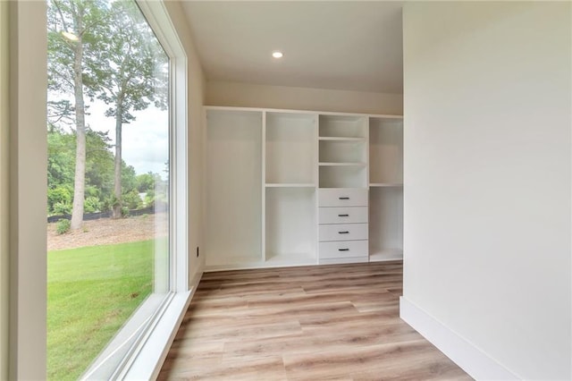 2808 S Arbor Dr, Gainesville, GA 30507 - walk in closet with light wood-style floors