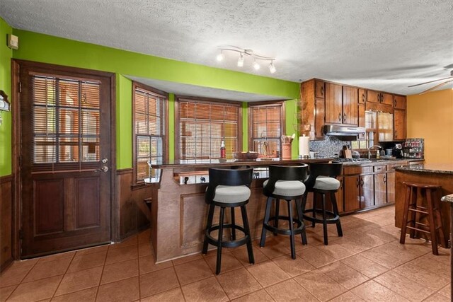 kitchen featuring a wainscoted wall, under cabinet range hood, a breakfast bar area, and a peninsula