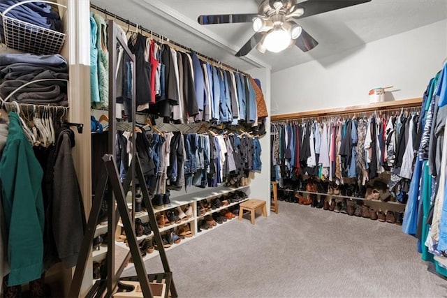 walk in closet featuring carpet floors and ceiling fan