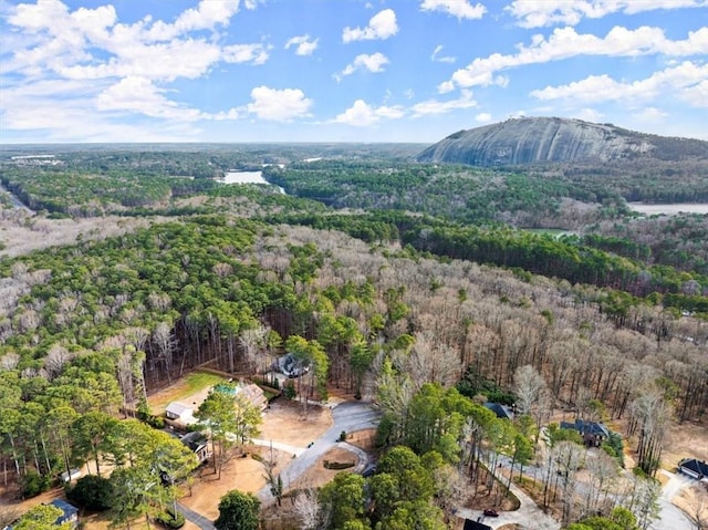 birds eye view of property featuring a mountain view and a wooded view