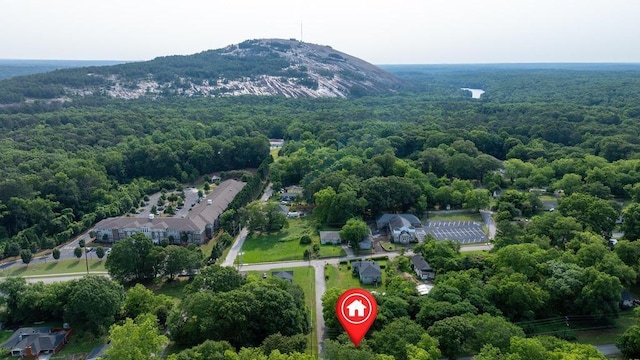842 Third St, Stone Mountain, GA 30083 - view of property location with a heavily wooded area and a mountainous background