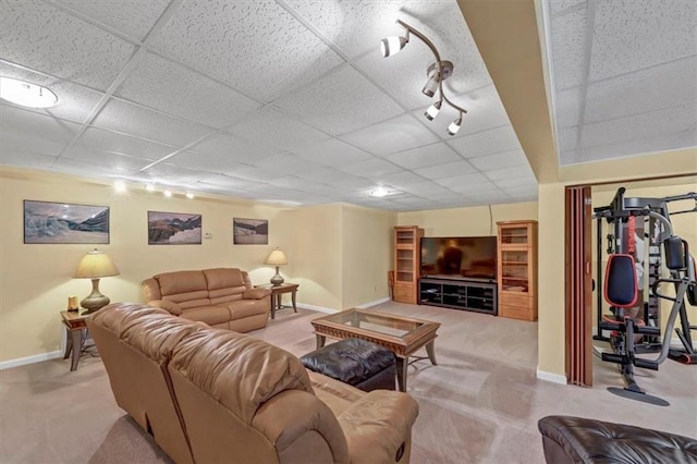 living room featuring a drop ceiling, baseboards, and carpet