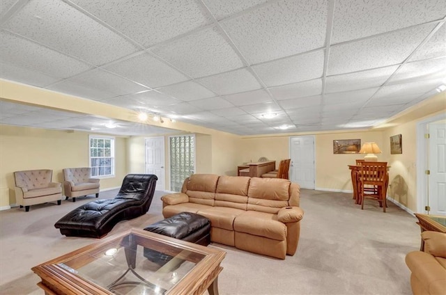 carpeted living room featuring baseboards and a drop ceiling