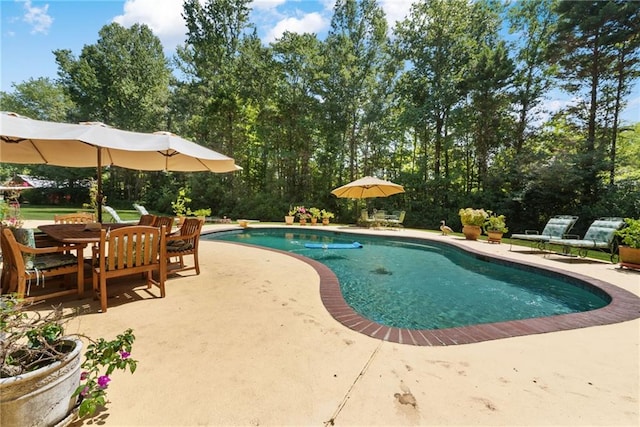 view of swimming pool featuring a patio area