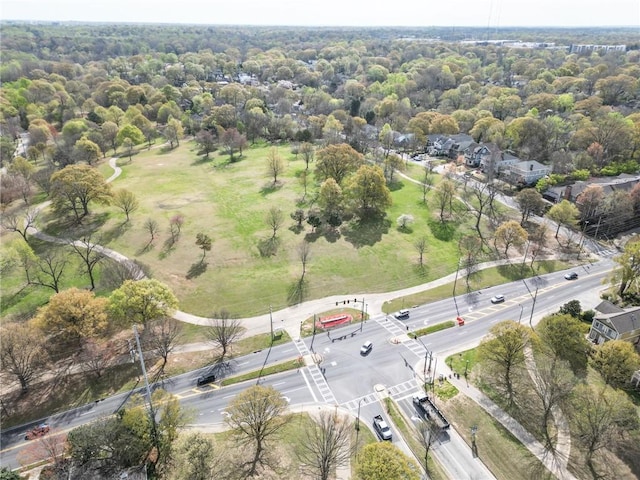 bird's eye view