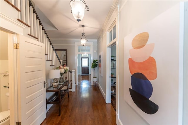 hallway with dark wood-type flooring and crown molding