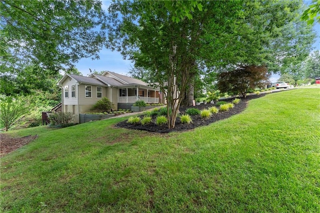 241 Cook St, Alto, GA 30510 - view of green lawn