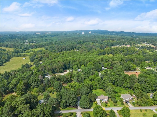 241 Cook St, Alto, GA 30510 - view of property location with a forest
