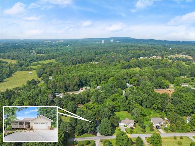 241 Cook St, Alto, GA 30510 - aerial overview of property's location featuring a heavily wooded area and property boundaries highlighted