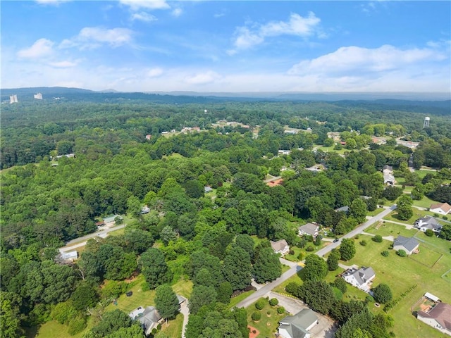241 Cook St, Alto, GA 30510 - bird's eye view of a forest