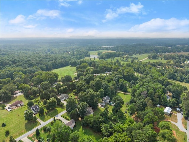 241 Cook St, Alto, GA 30510 - aerial view