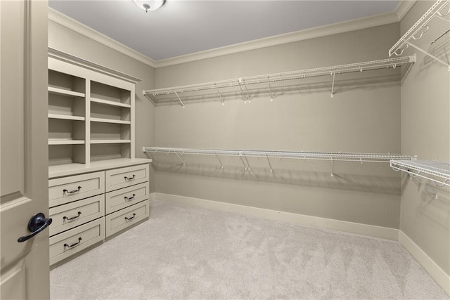 spacious closet with light carpet