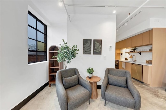 sitting room with sink, rail lighting, and a high ceiling
