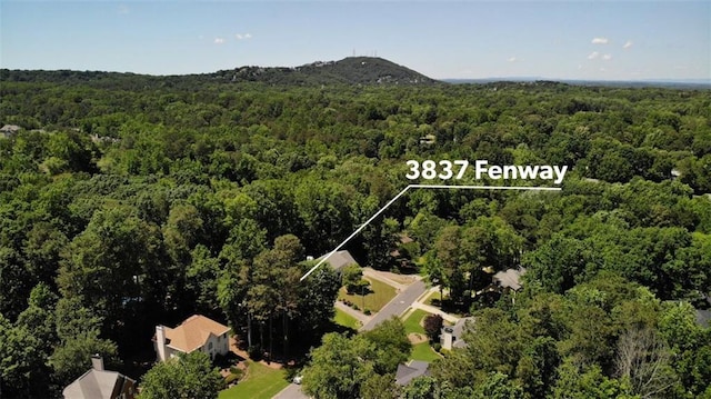 3837 Fenway Xing, Marietta, GA 30062 - aerial view of a forest