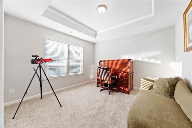 office space with a tray ceiling and light colored carpet